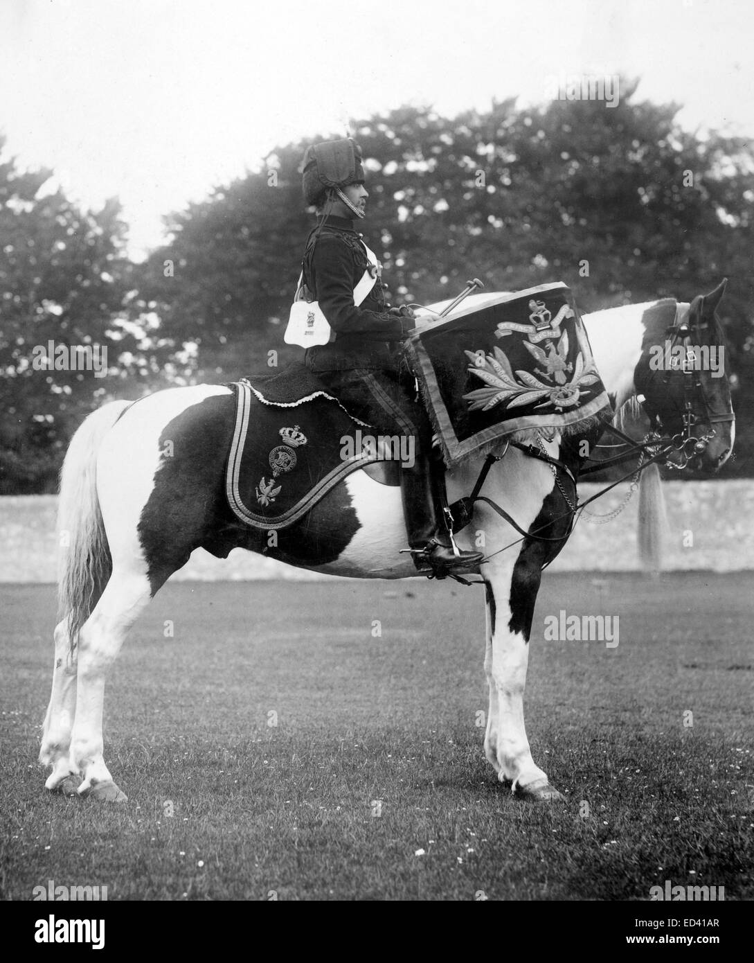 Victorian 14th Hussars drum horse 1895 Stock Photo