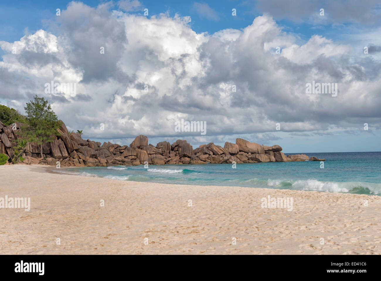 Giant coconut crab hires stock photography and images Alamy