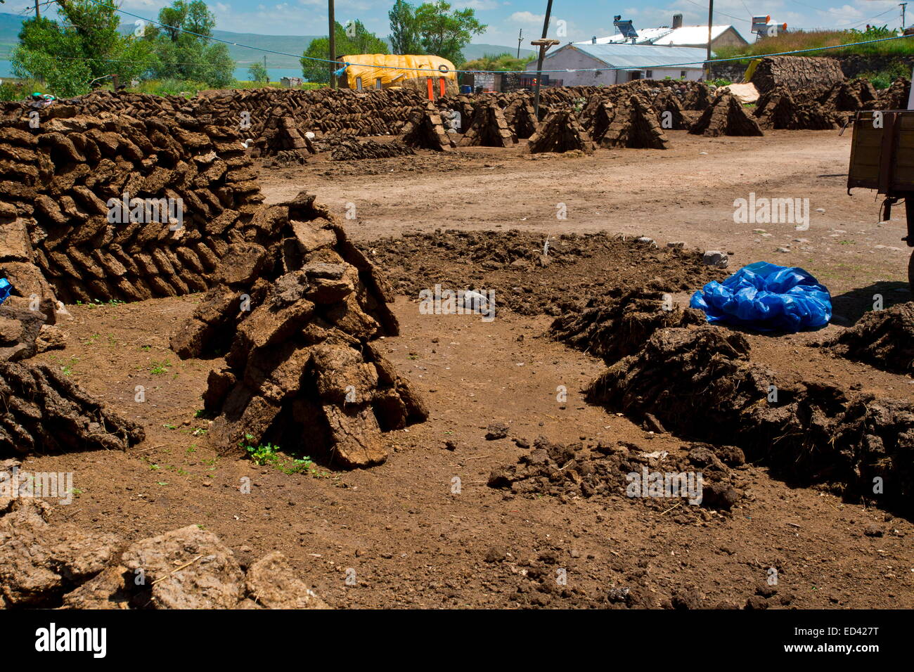 Drying manure for fuel In the remote village of Gulyuzu, by Cildir Golu