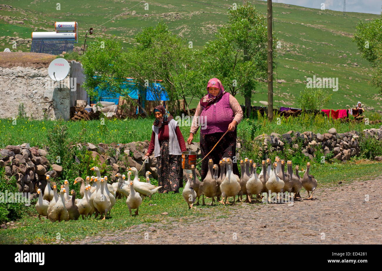 Village ladies pics