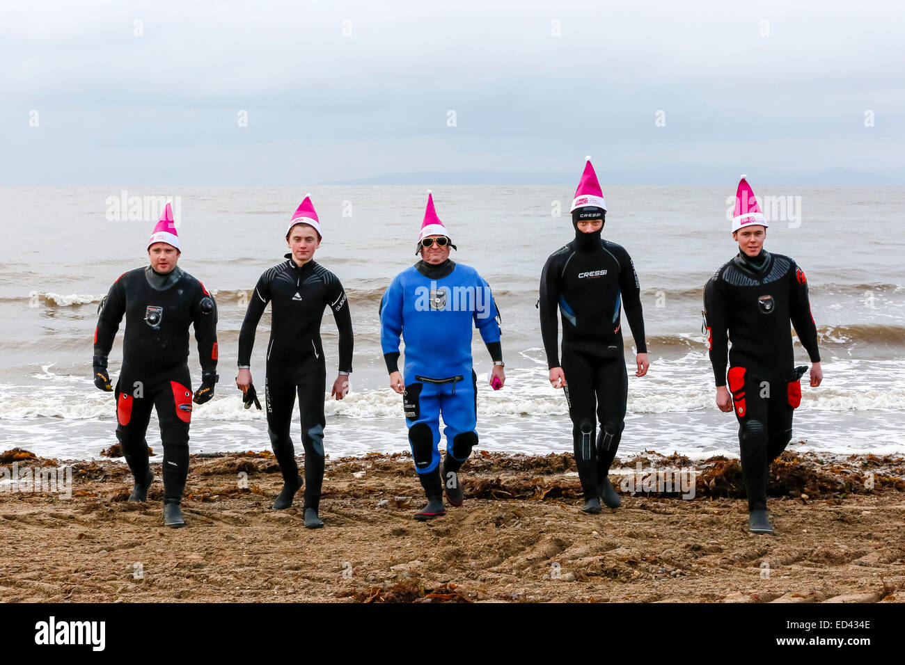 Prestwick, Scotland, UK. 26th Dec, 2014. The 9th annual clic sergent Boxing Day swim was held at Prestwick beach, Ayrshire, near to the hospice. This attracted over 200  swimmers many in fancy dress costumes were marched to the beach by local piper Billy Kenny. This year was particularly costly for Clicsergent when during the recent storms the hospice was struck twice by lightning causing over £200,000 worth of damage and disruption to care. The swimmers hope to raise over £25,000 by sponsorship. Credit:  Findlay/Alamy Live News Stock Photo