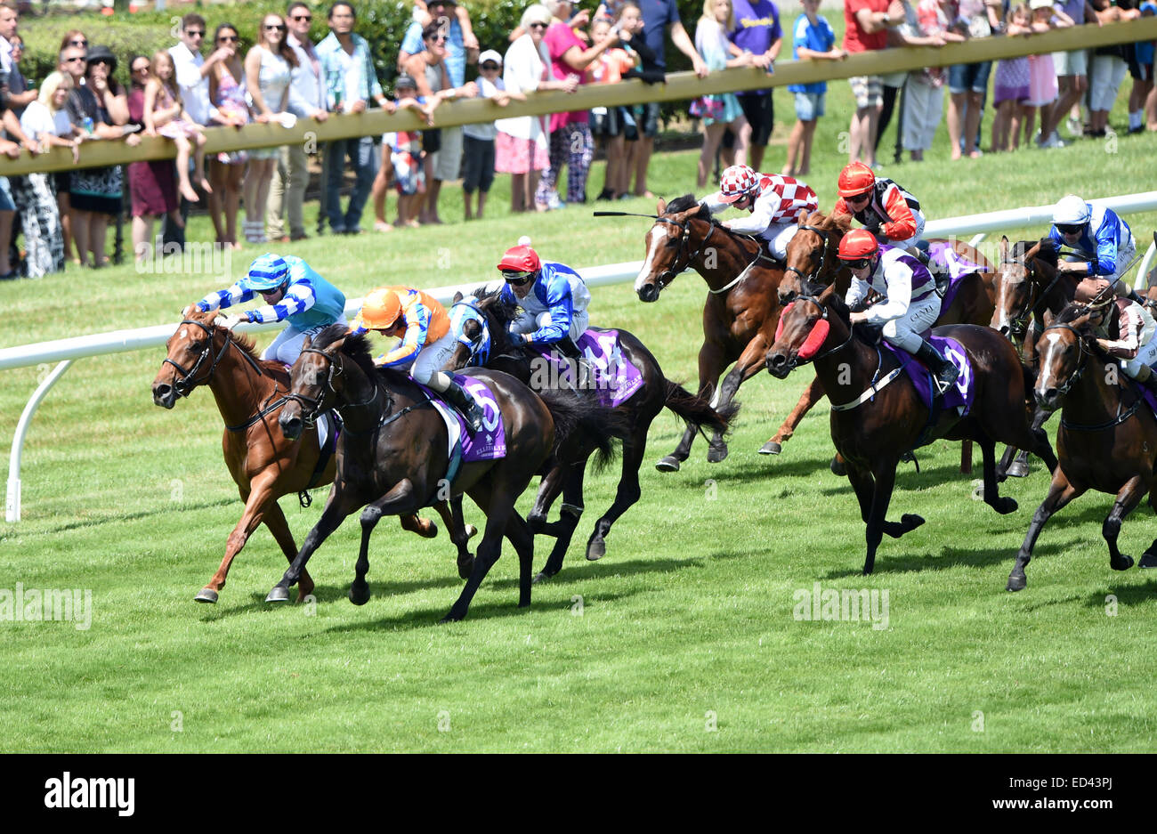 Ellerslie racecourse hi-res stock photography and images - Alamy