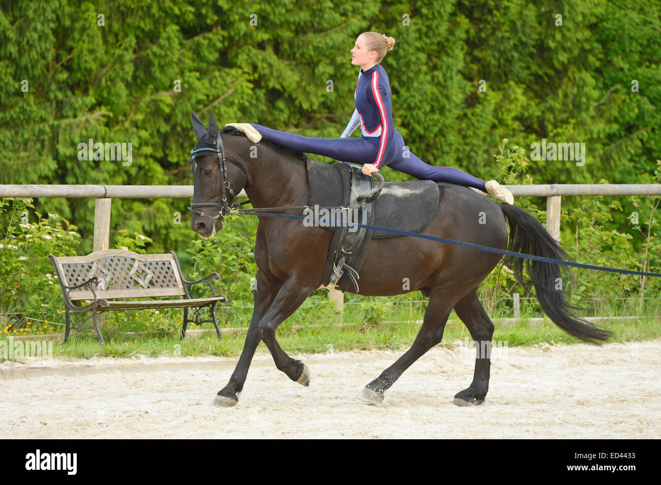 Vaulting, splits on horseback Stock Photo Alamy