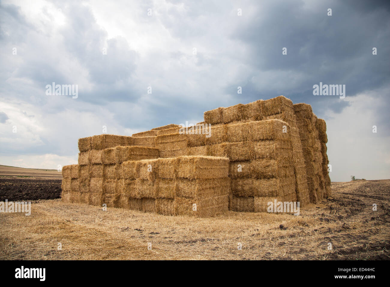 Pile of straw bales in a cloudy day. Stock Photo