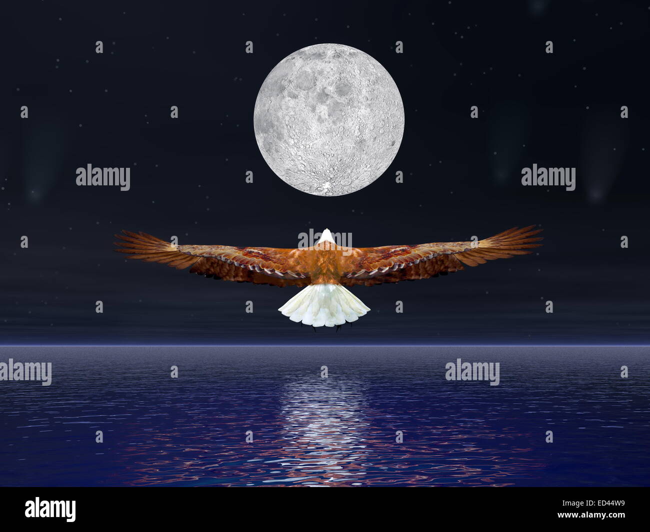 Beautiful eagle flying to the full moon by night with comets and stars