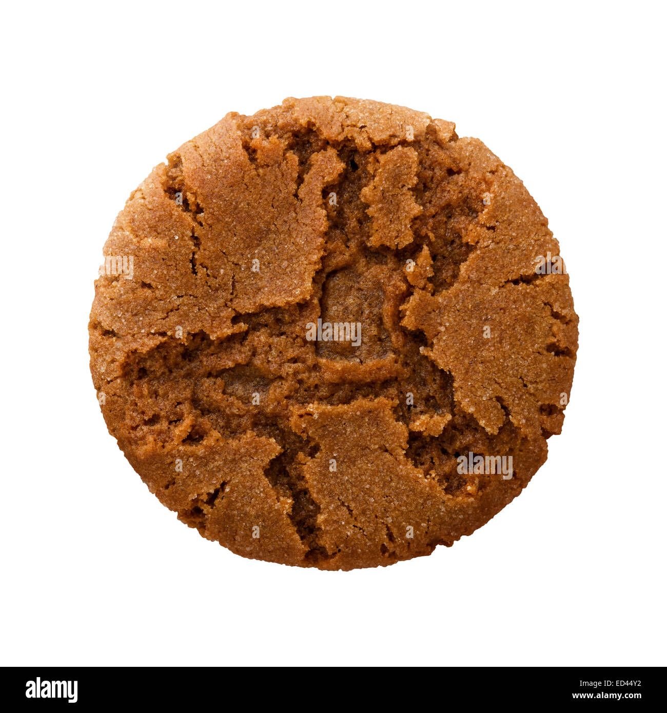 Ginger Snap Cookie Stock Photo