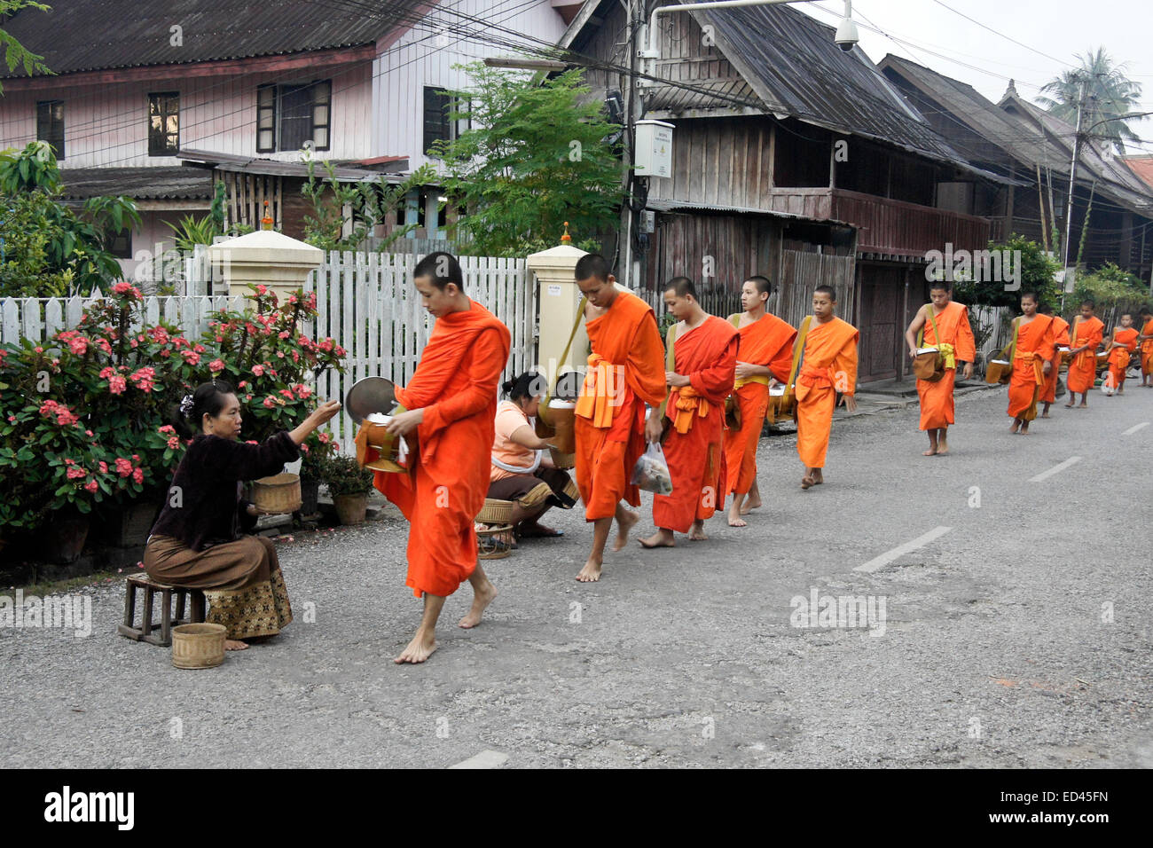 Buddhist monks collecting morning alms, Luang Prabang, Laos Stock Photo