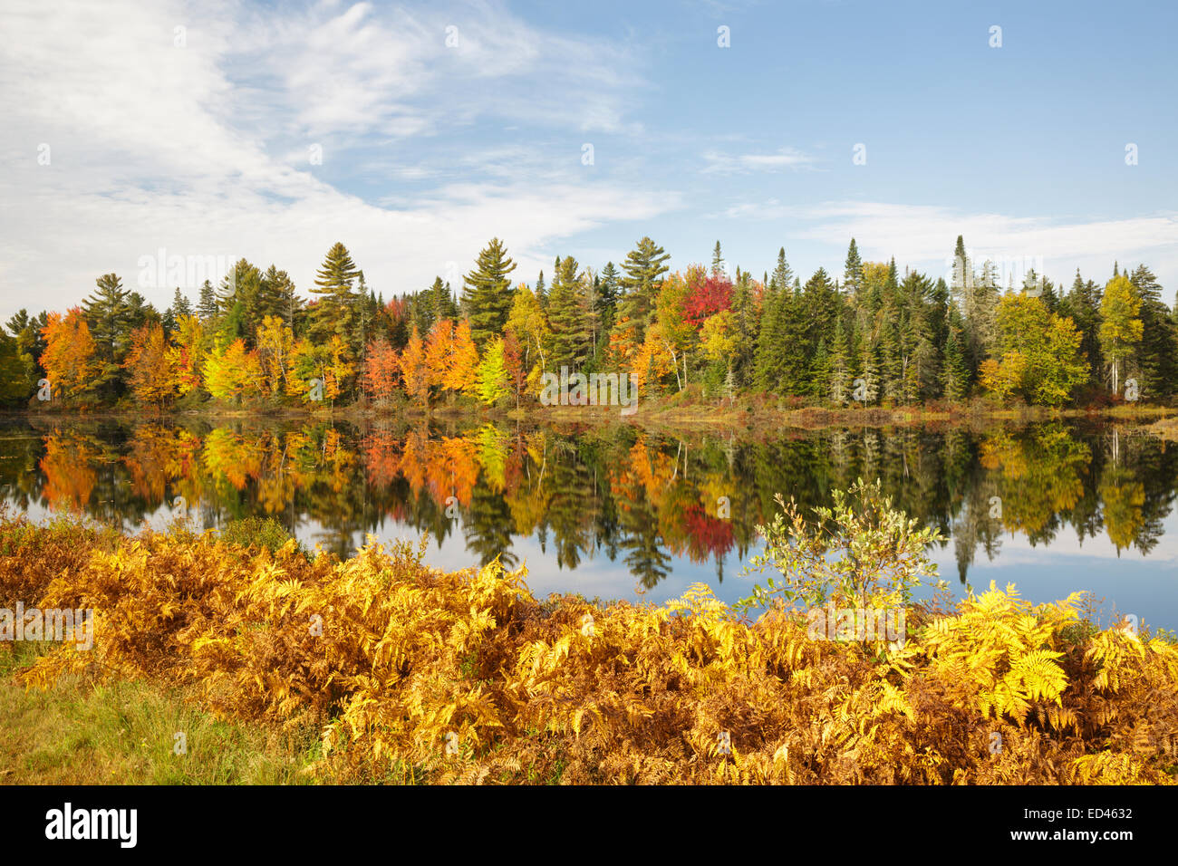 Dummer new hampshire hires stock photography and images Alamy