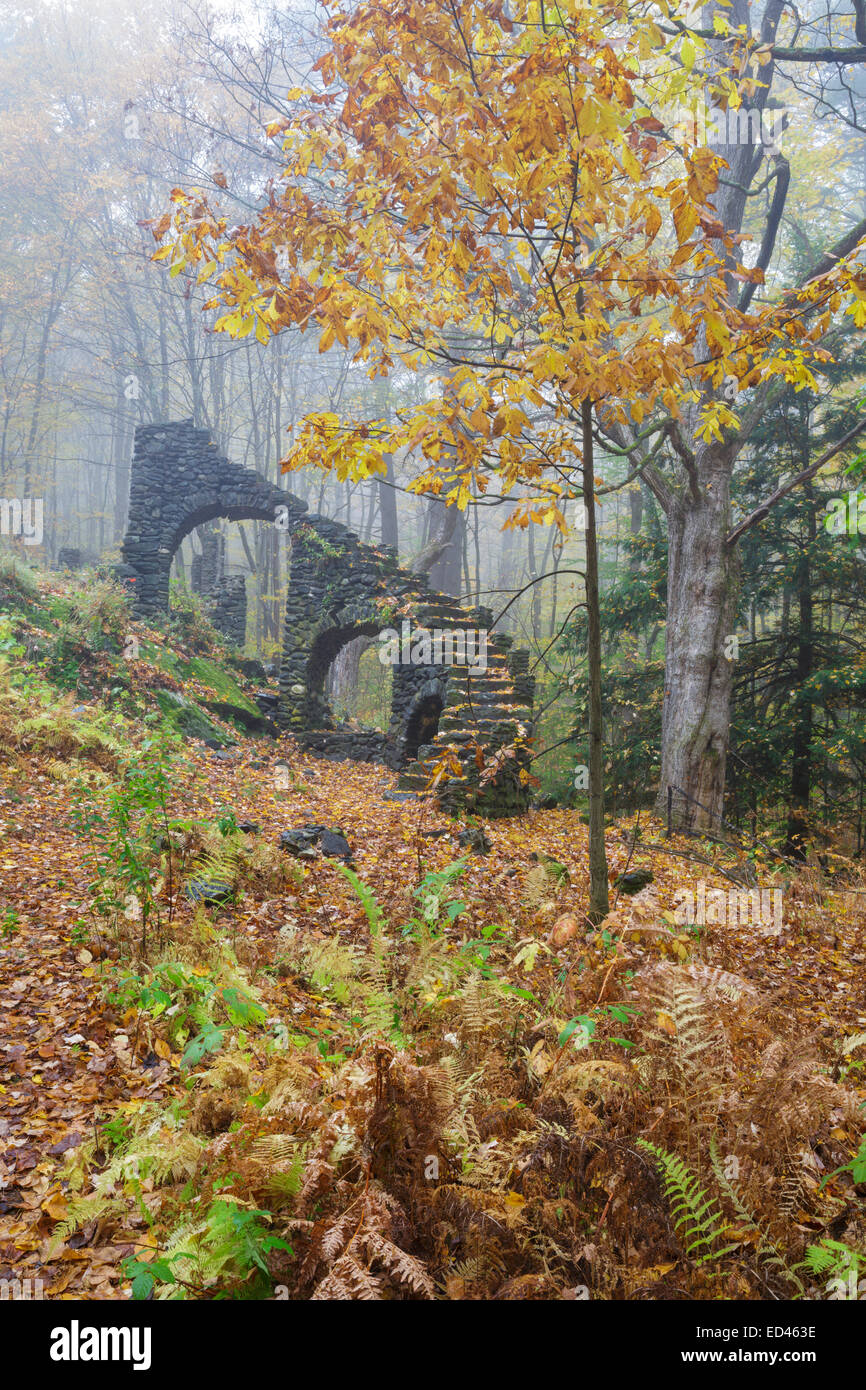 Madame Sherri’s castle ruins in Madame Sherri Forest of