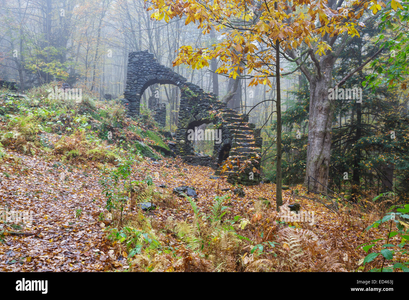 Madame Sherri’s castle ruins in Madame Sherri Forest of