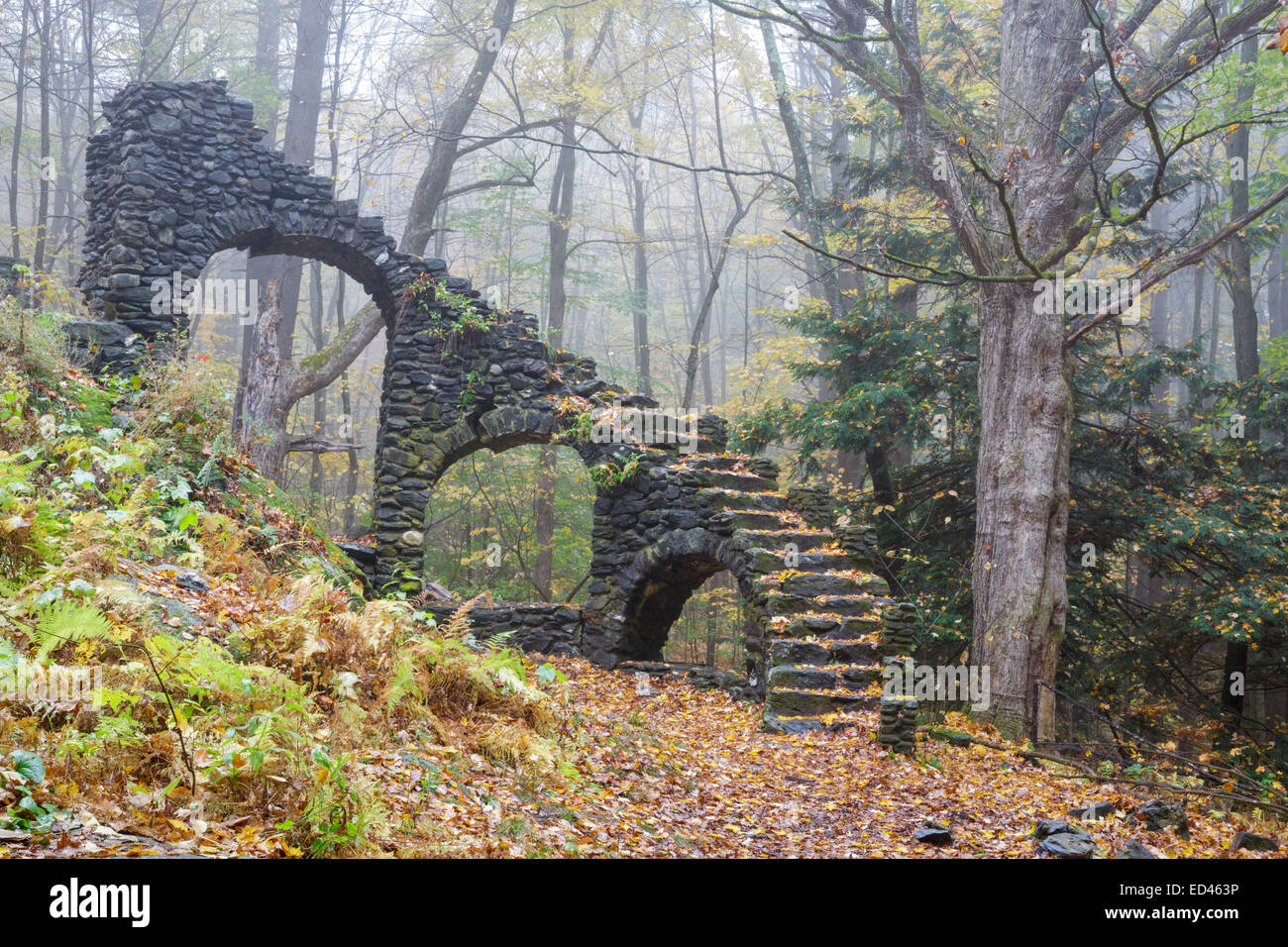 Madame Sherri’s castle ruins in Madame Sherri Forest of