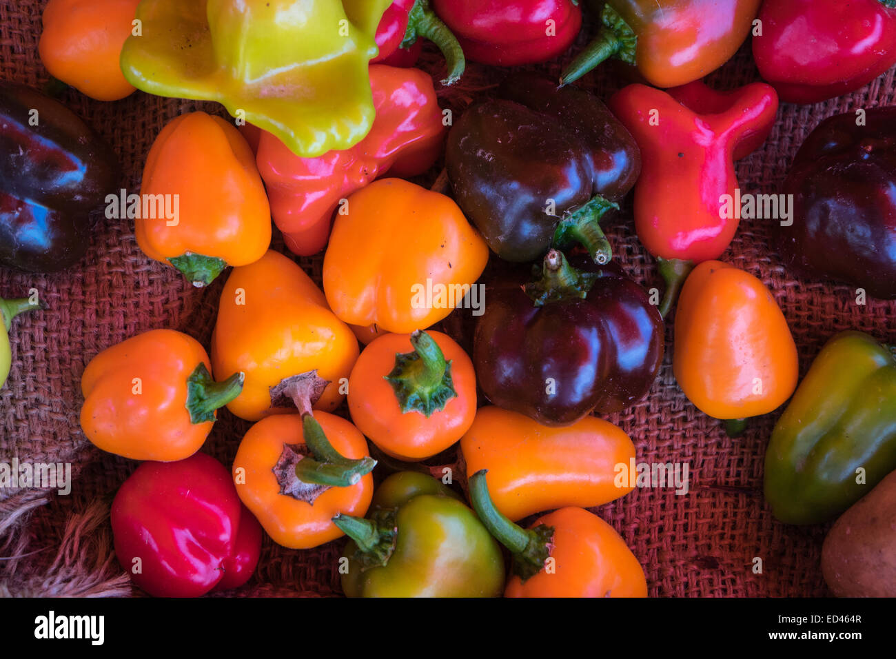 Peppers of various colors, colours, red, orange, green on sacking. Stock Photo