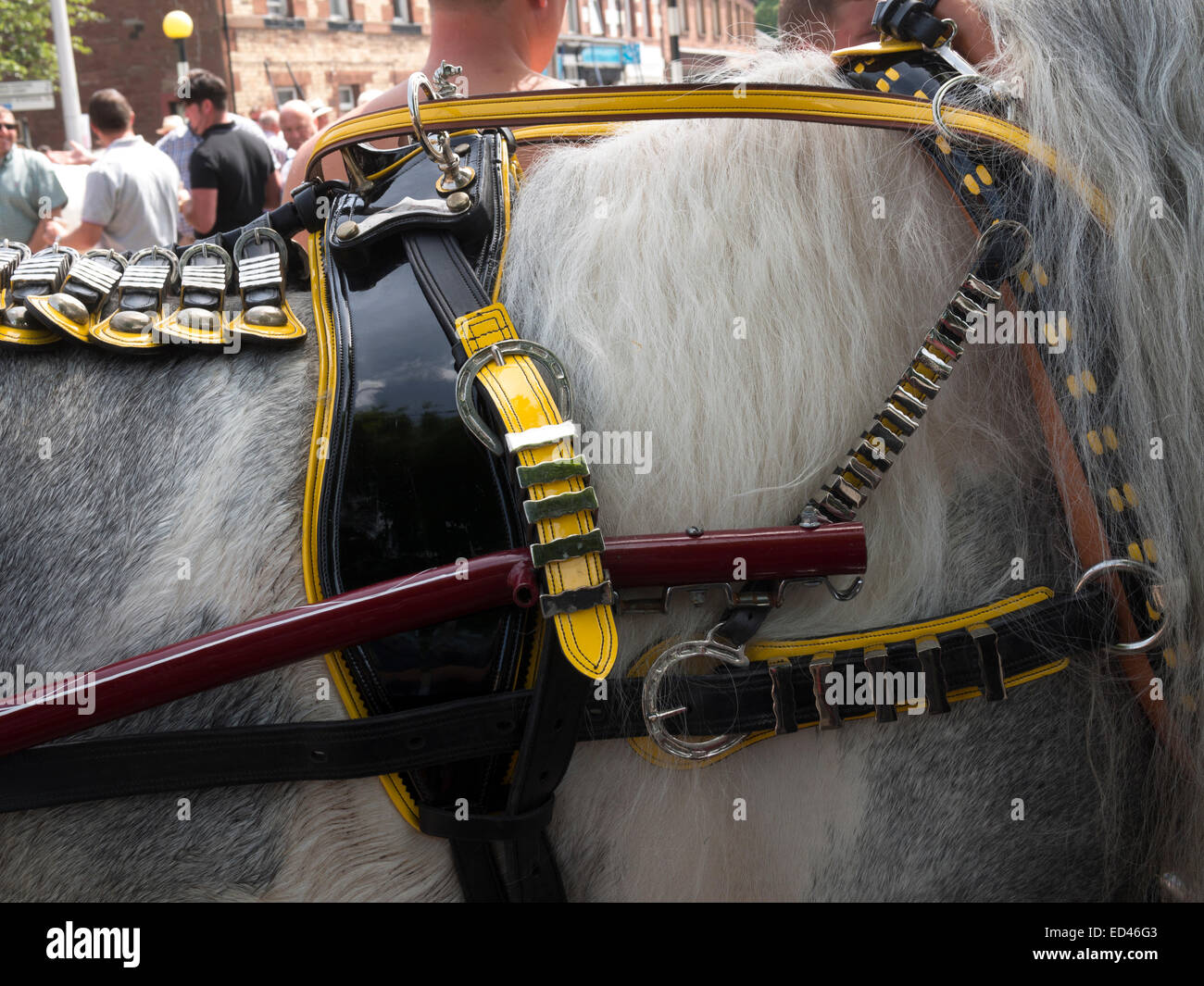 detail of horse harness owned by Gypsies,Romanys,'travellers', at