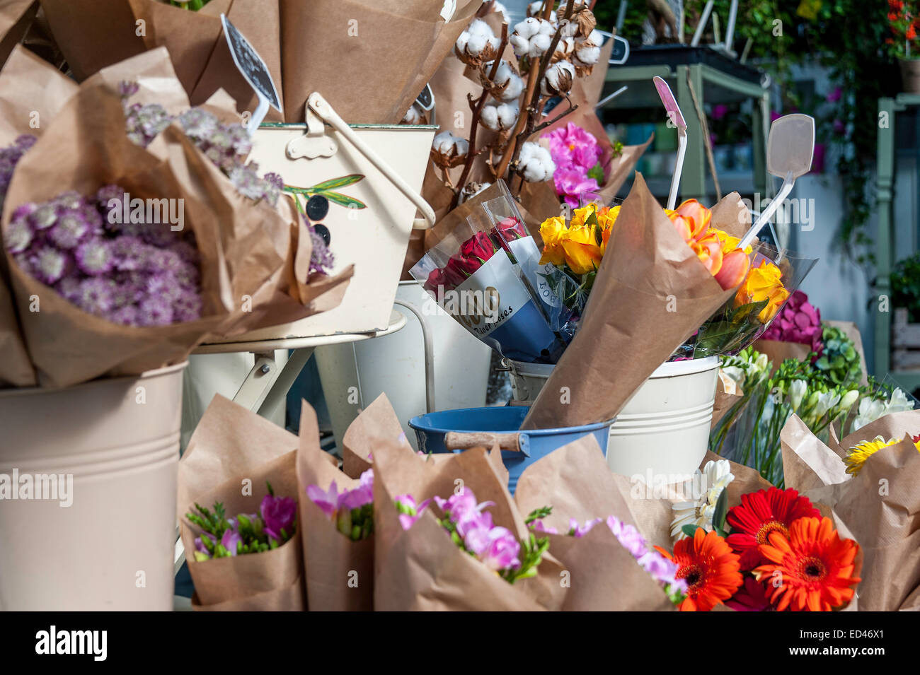 Flowers in London UK Stock Photo Alamy