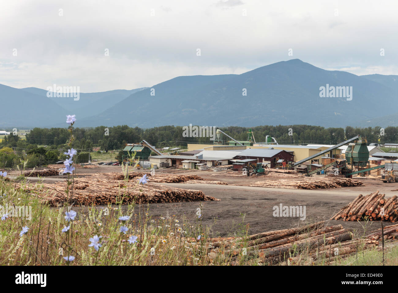 Wynndel hires stock photography and images Alamy