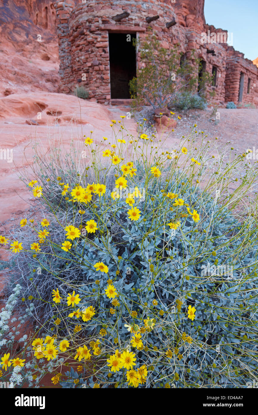 The Cabins In Valley Of Fire State Park Near Las Vegas Nevada