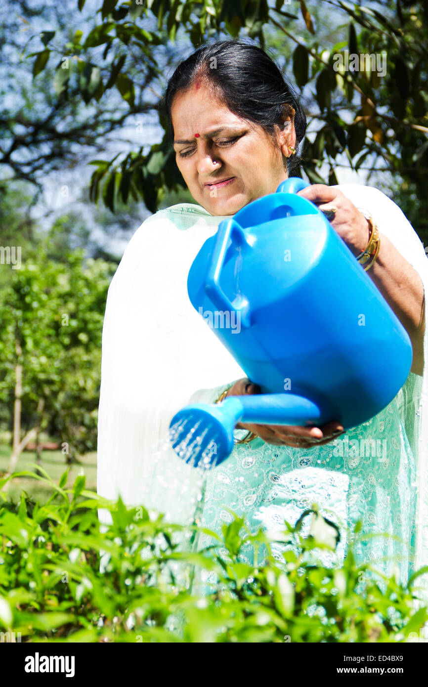 indian Old woman Garden  Flower  Pouring water Stock Photo