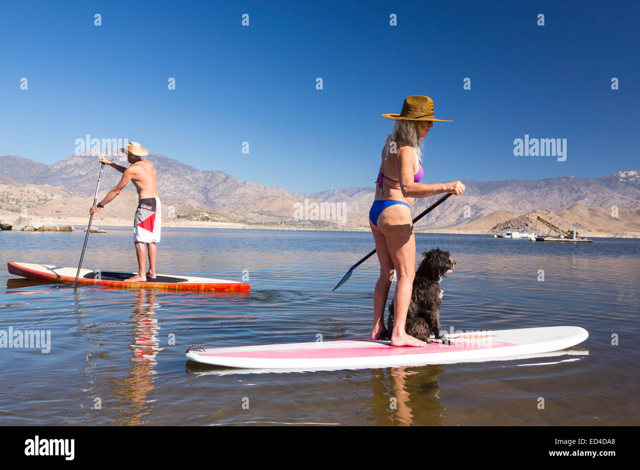 Pensioners paddle boarding on the drought impacted Lake Isabella in California, USA. Stock Photo