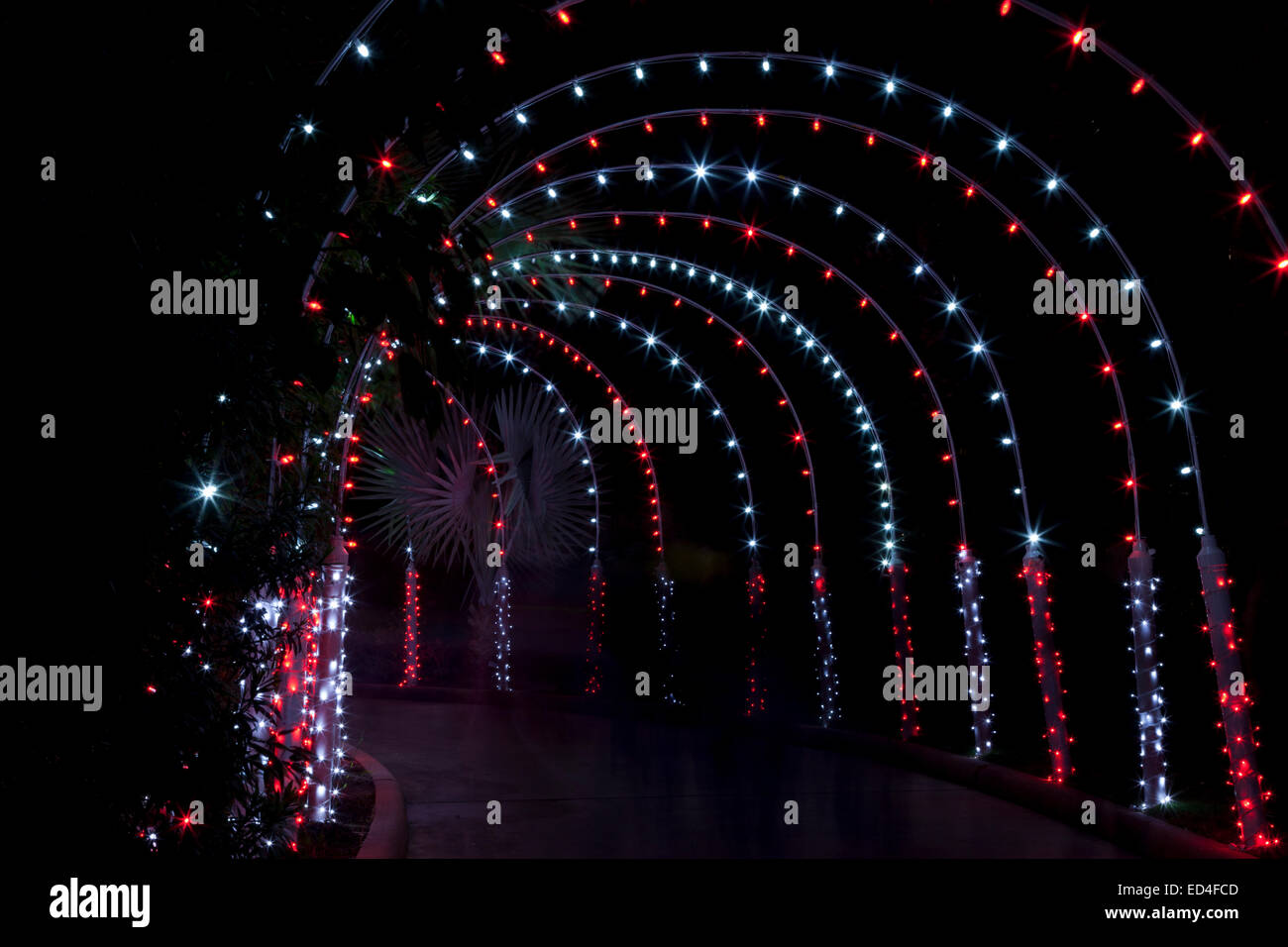 Festival of Lights Holiday celebration at Moody Gardens in Galveston