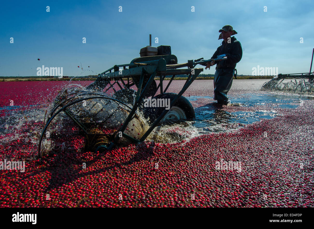 Fruit harvesting machine hires stock photography and images Alamy