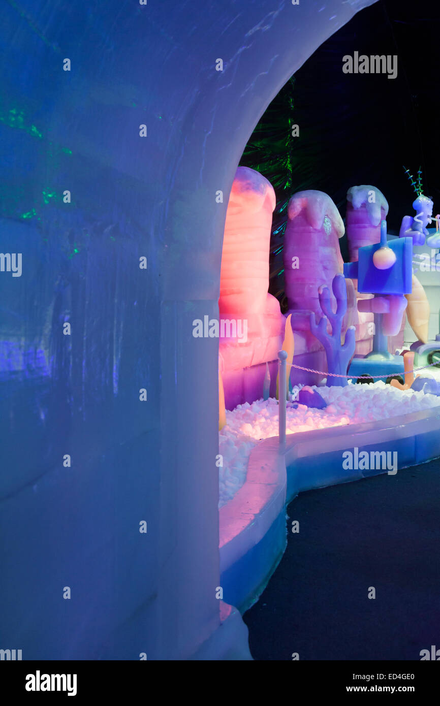 Ice Land 9 Degrees Attraction At Christmas At Moody Gardens
