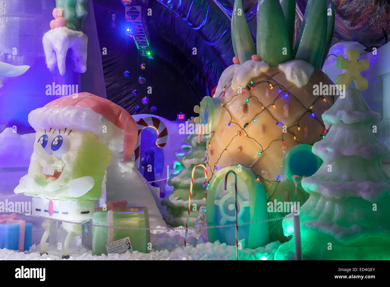 Ice Land 9 Degrees Attraction At Christmas At Moody Gardens