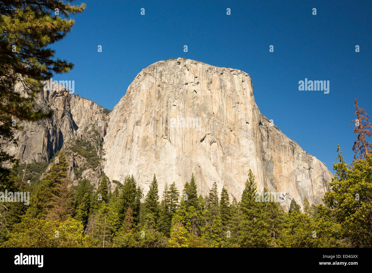 El Capitan probably the most famous climbing wall in Yosemite National Park, California, USA