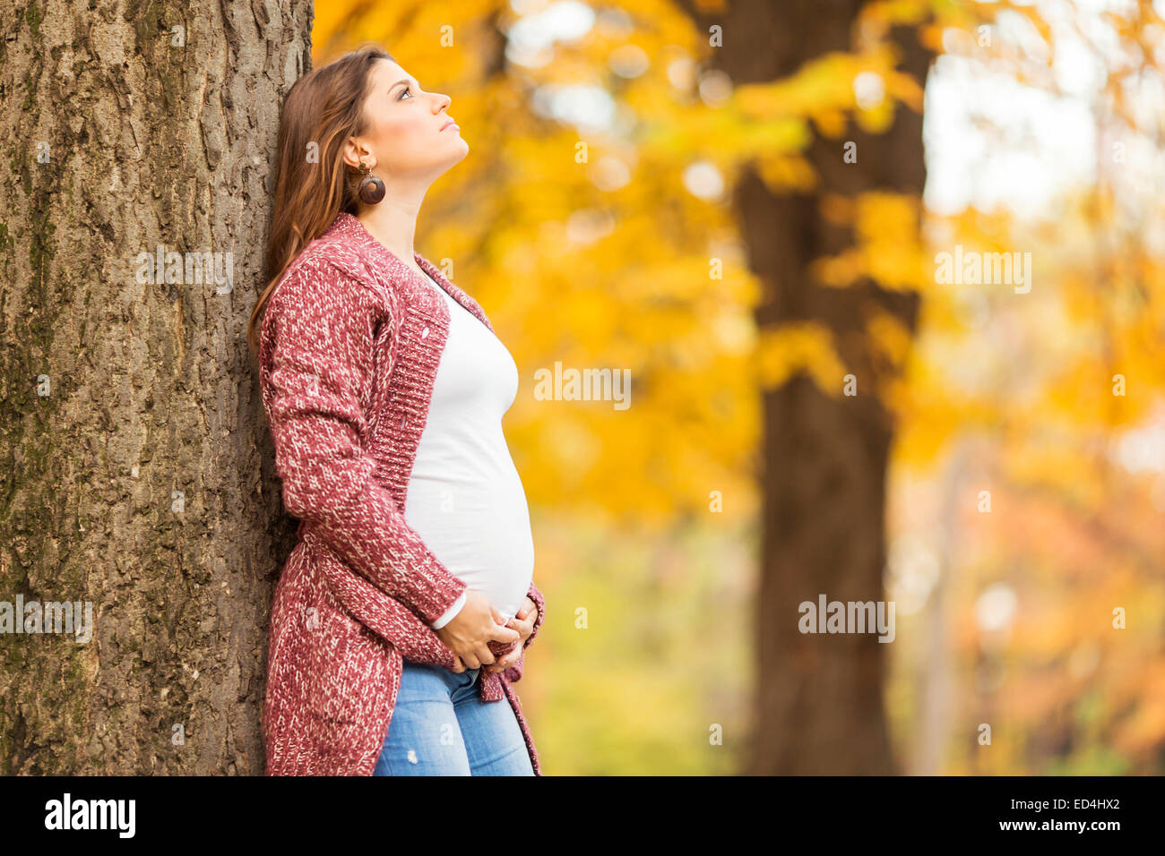 Young pregnant woman in the autumn park Stock Photo - Alamy