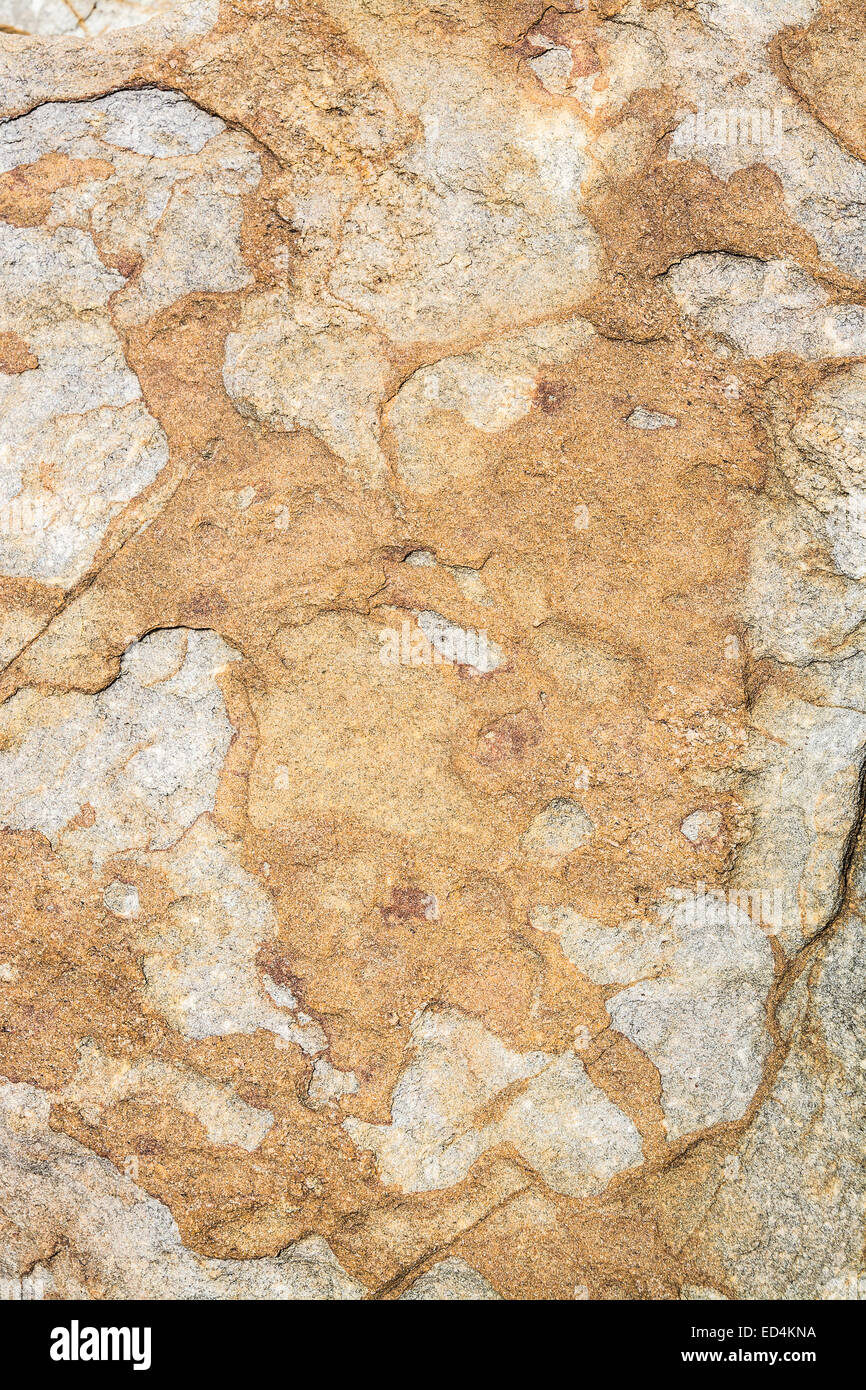 Rock background texture. Metamorphic rock with interesting natural ...