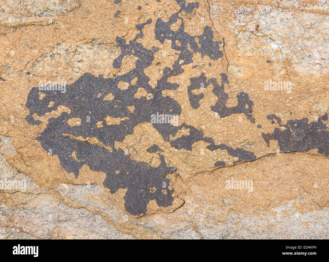 Rock background texture. Metamorphic rock with interesting natural ...