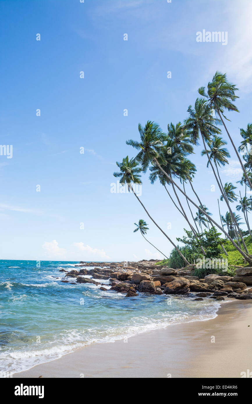 Tropical beach with rocks, coconut palm trees, sandy beach and ocean. Rocky Point, Tangalle, Southern Province, Sri Lanka, Asia. Stock Photo