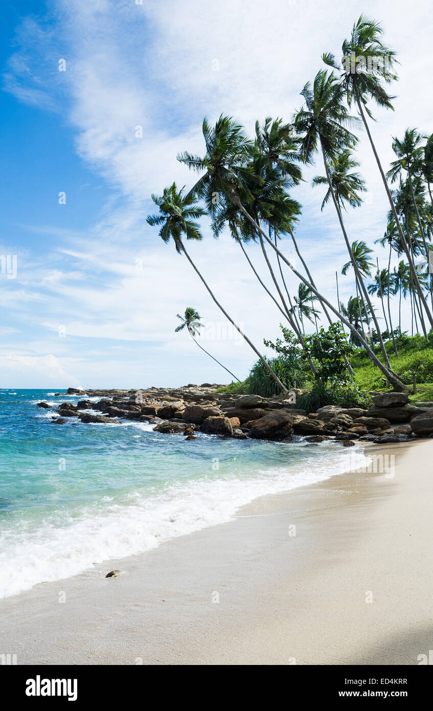 Tropical rocky beach with coconut palm trees, sandy beach and ocean. Tangalle, Southern Province, Sri Lanka, Asia. Stock Photo
