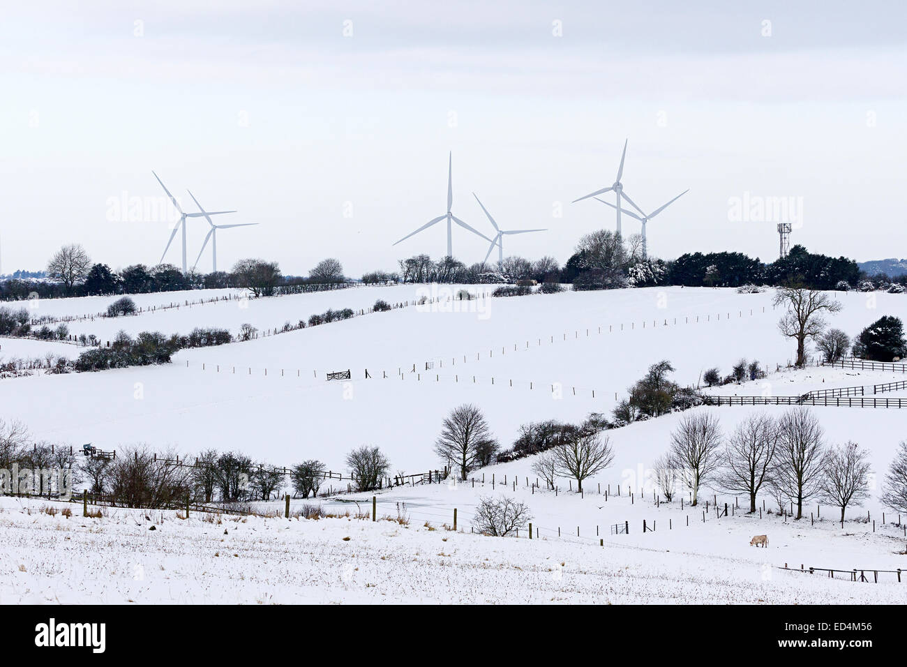 Blidworth, Nottinghamshire, UK. 27th Dec, 2014. After a night of