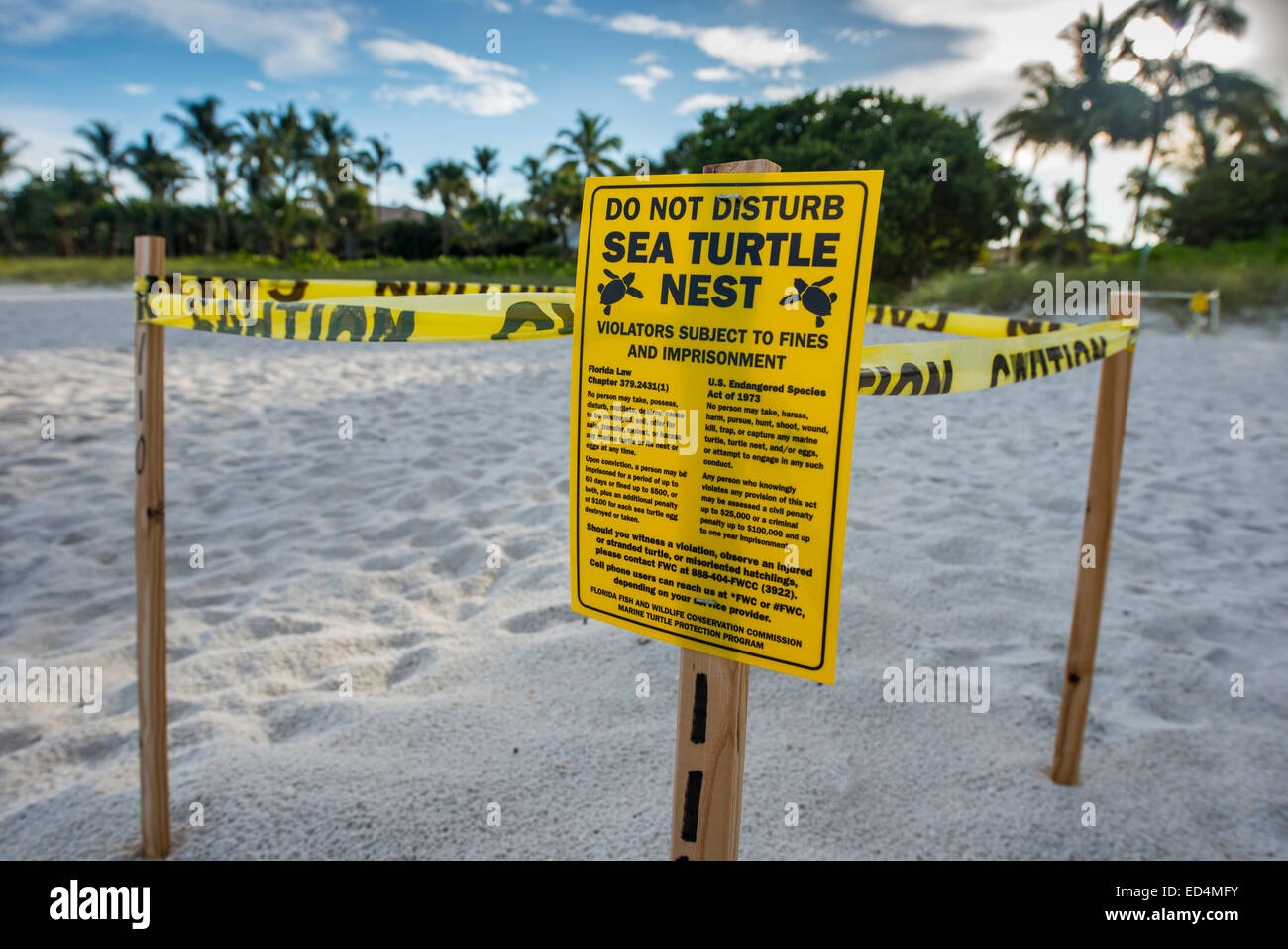 protected sea turtle nesting site,naples,florida,usa, Stock Photo