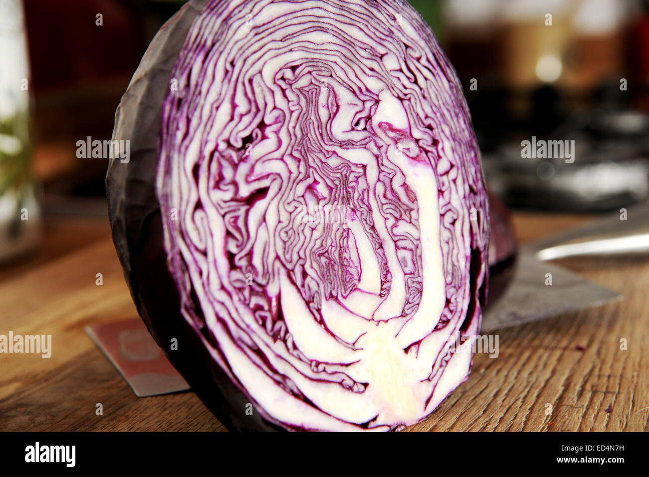 Raw red cabbage cut in half Stock Photo Alamy