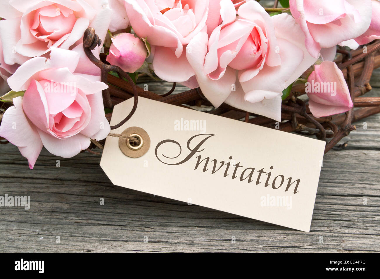 Invitation card with pink roses Stock Photo - Alamy