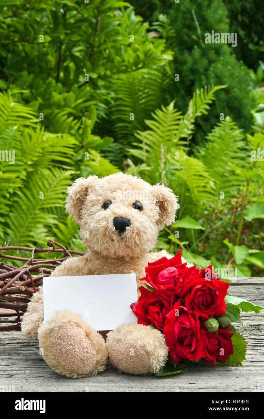 Teddy card hi-res stock photography and images - Alamy