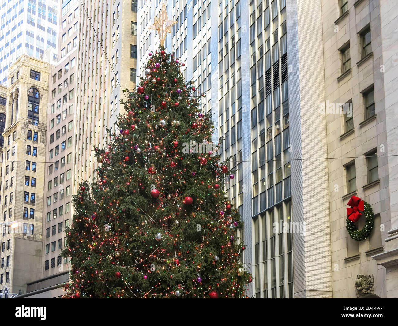 Wall Street Christmas Tree: Lighting NYSE Financial District