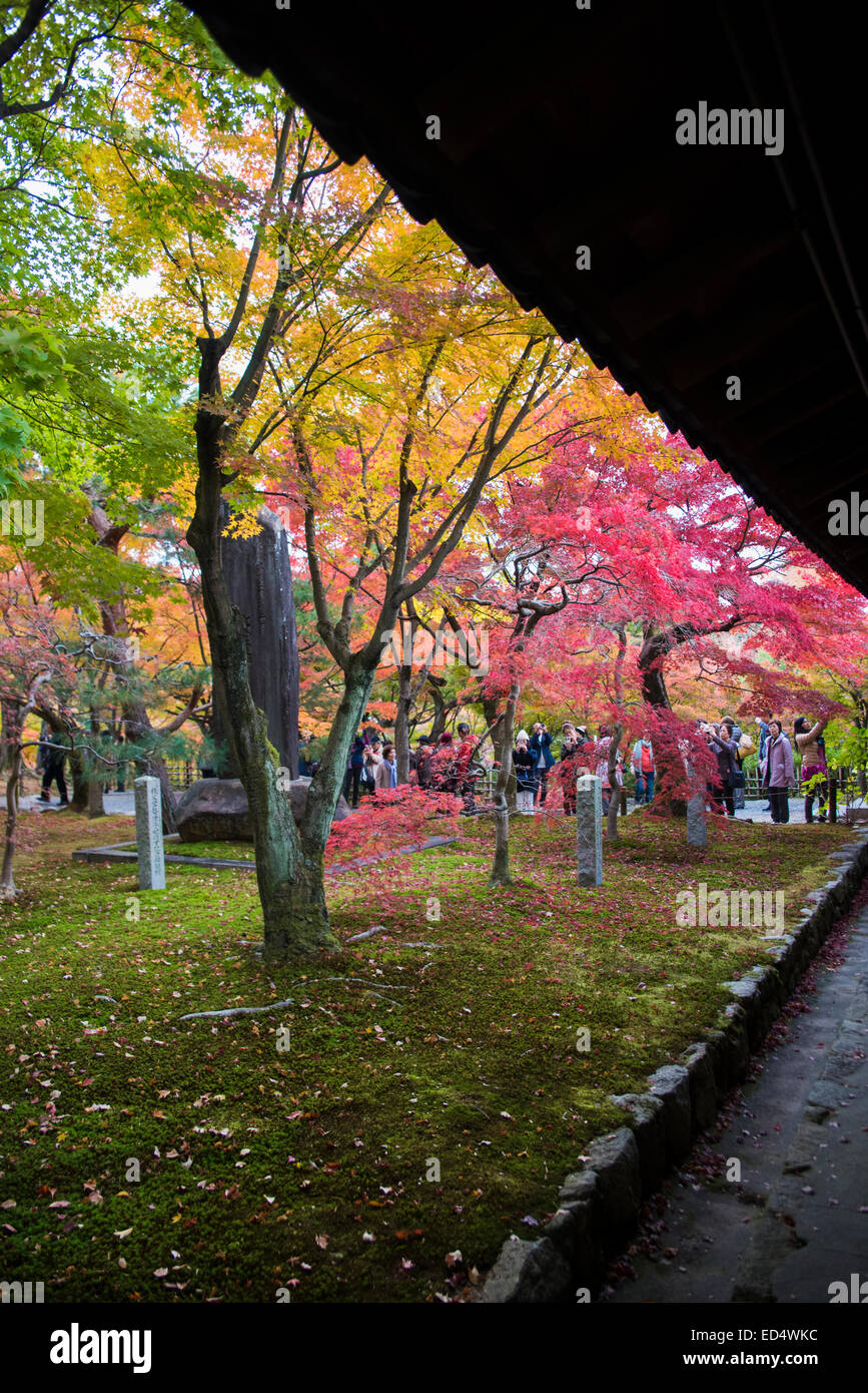 Tofuku ji buddhist temple hi-res stock photography and images - Alamy