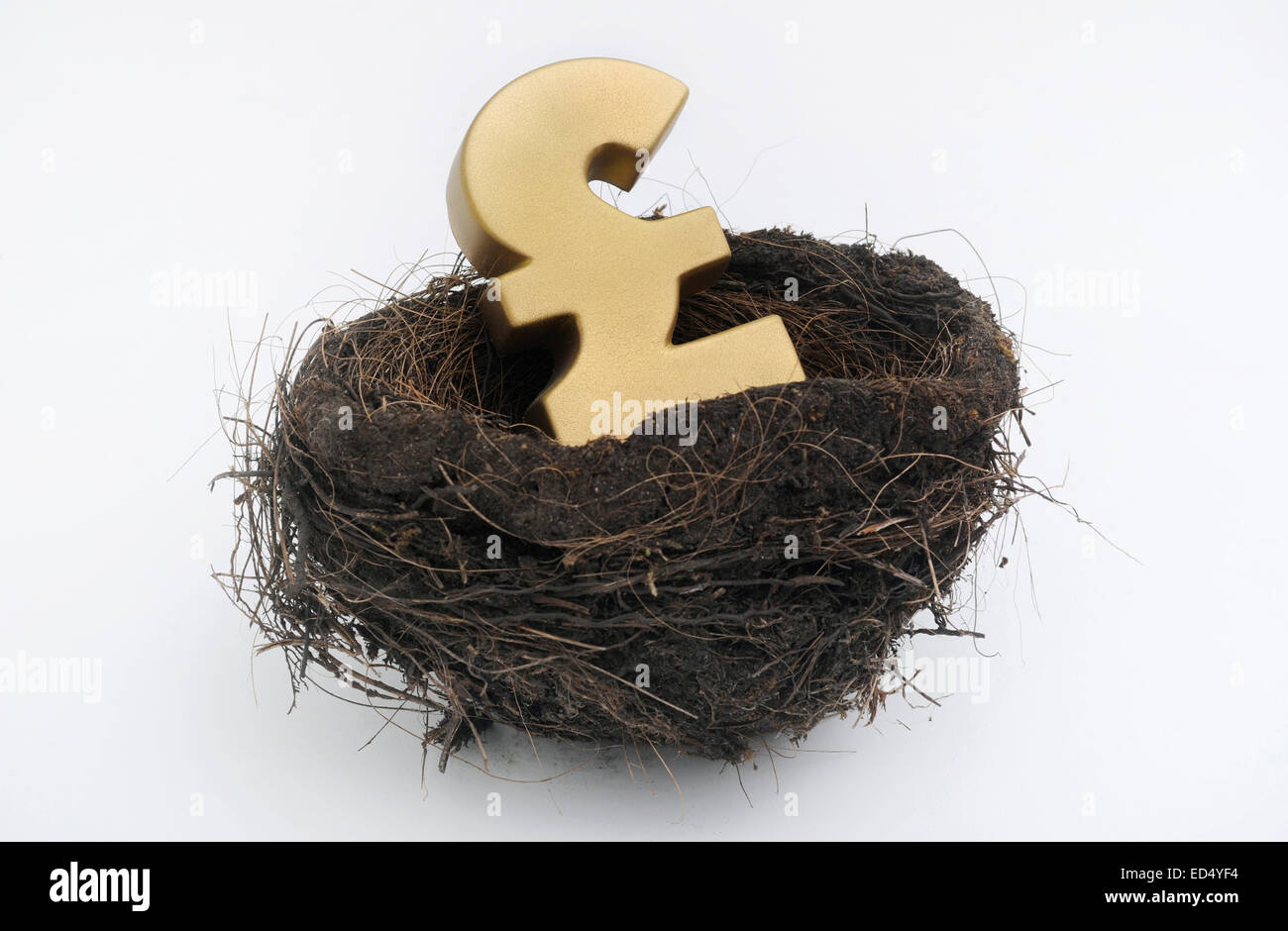 BRITISH POUND SIGN IN BIRDS NEST RE THE ECONOMY NEST EGG SAVINGS PENSIONS RETIREMENT PENSIONERS MONEY FUTURE INVESTMENTS CASH UK Stock Photo