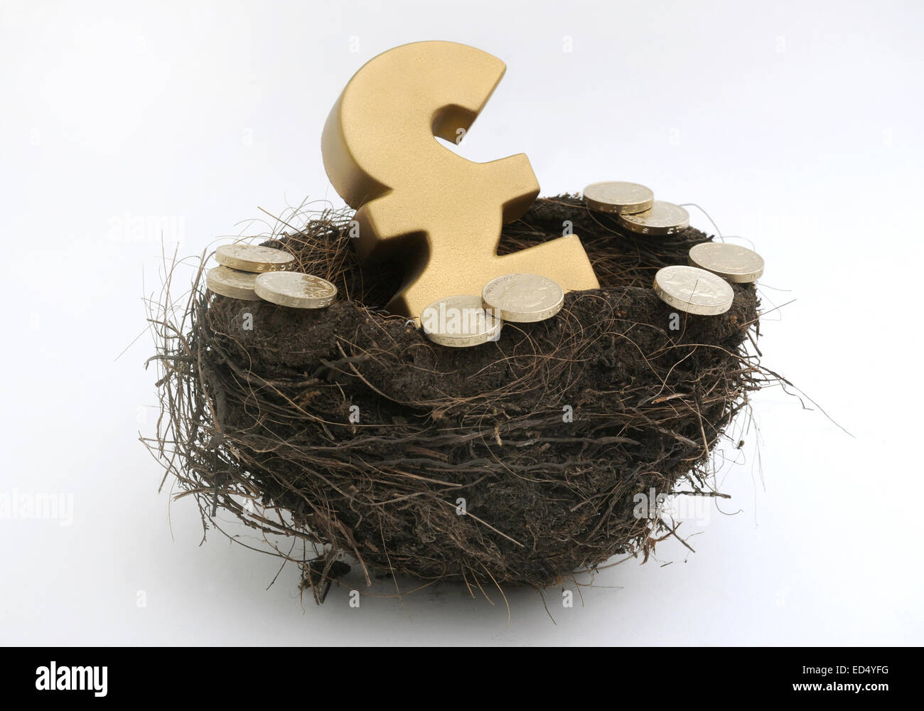 BRITISH POUND SIGN IN BIRDS NEST WITH POUND COINS RE THE ECONOMY NEST EGG SAVINGS PENSIONS RETIREMENT PENSIONERS MONEY CASH UK Stock Photo