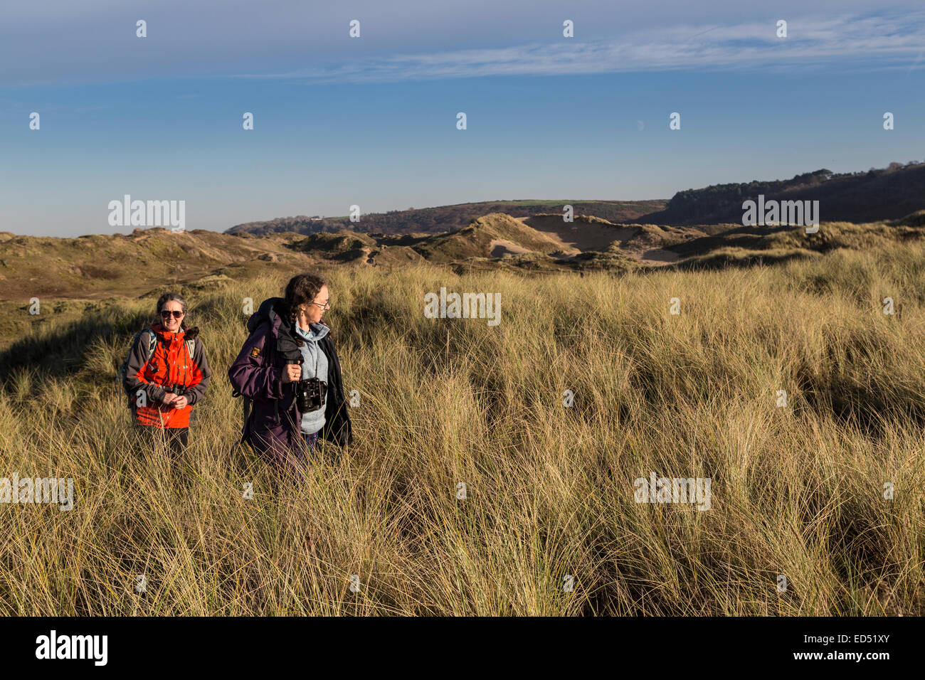 Two women walking through marram grass on the fixed dunes of Merthyr Mawr nature reserve, Wales, UK Stock Photo