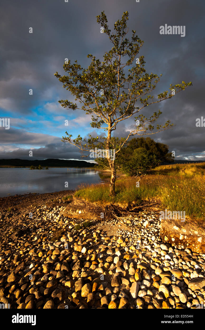 Loch Shiel at Langal in the Highlands of Scotland some 12 miles from Glenfinnan Stock Photo