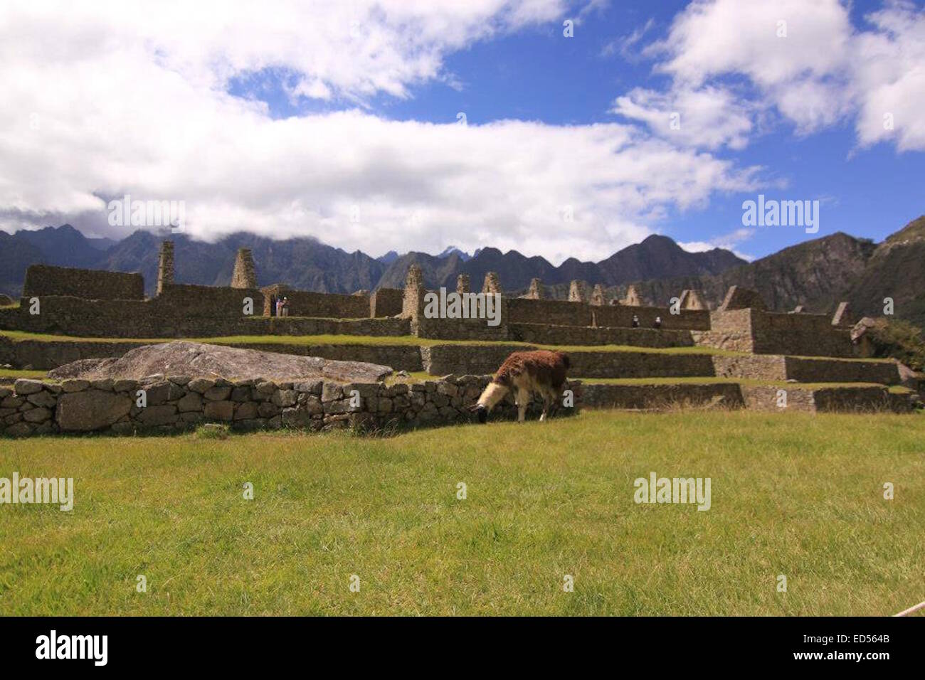 Incan stone buildings and terraces at Machu Picchu, Cusco, Peru Stock ...