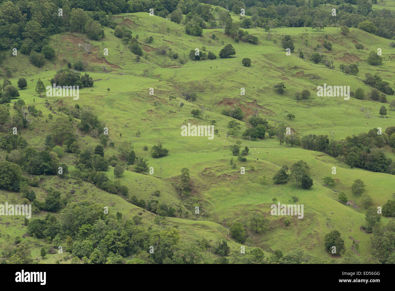 A photograph of some rolling green hills near the border of New South Wales and Queensland in Australia. Stock Photo