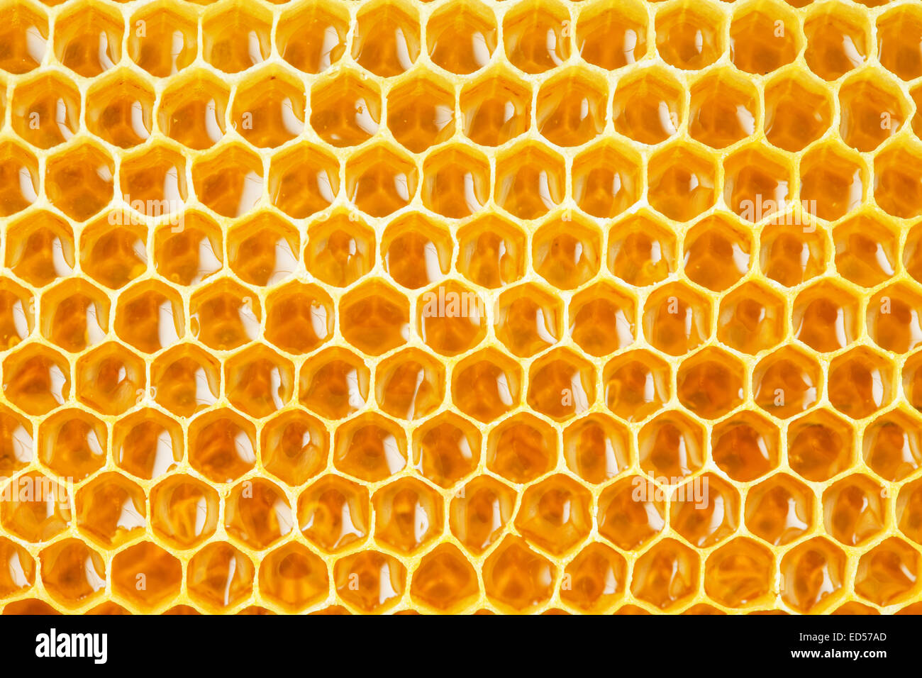 honeycomb cells natural background Stock Photo