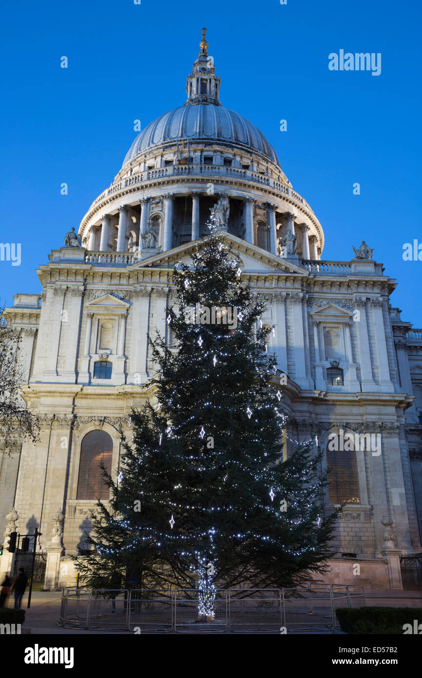 Christmas tree outside St Paul's Cathedral, London, England, United