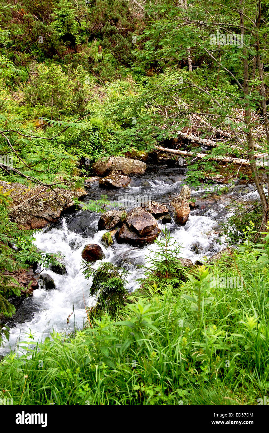 Rapid mountain stream in hi-res stock photography and images - Alamy