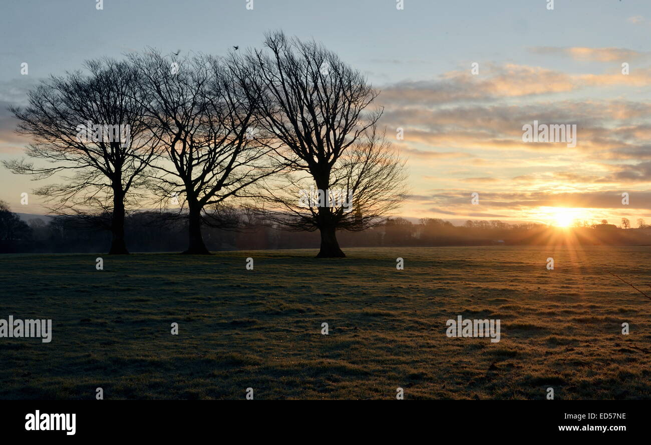 Cumbria, UK. 28th December, 2014. UK Weather: Many parts of the Country woke up to frost this morning after overnight temperatures fell well below freezing. The cold spell is set to last the next few days. Credit:  STUART WALKER/Alamy Live News Stock Photo