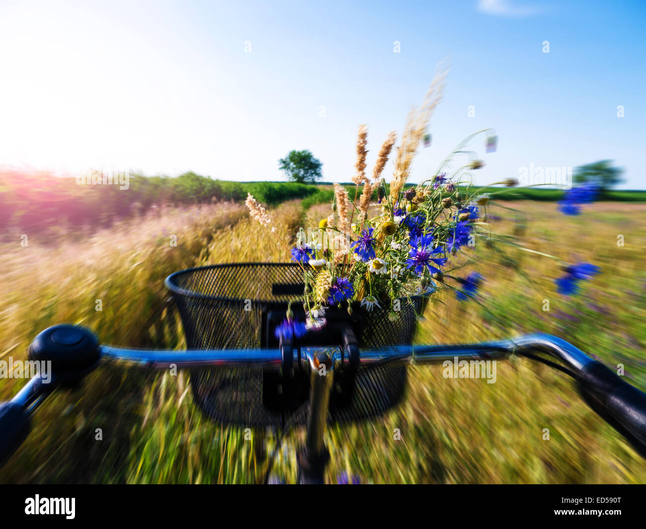 cycling on a field with sun and blue sky Stock Photo - Alamy